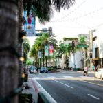 Dallas Arboretum & Botanical Gardens